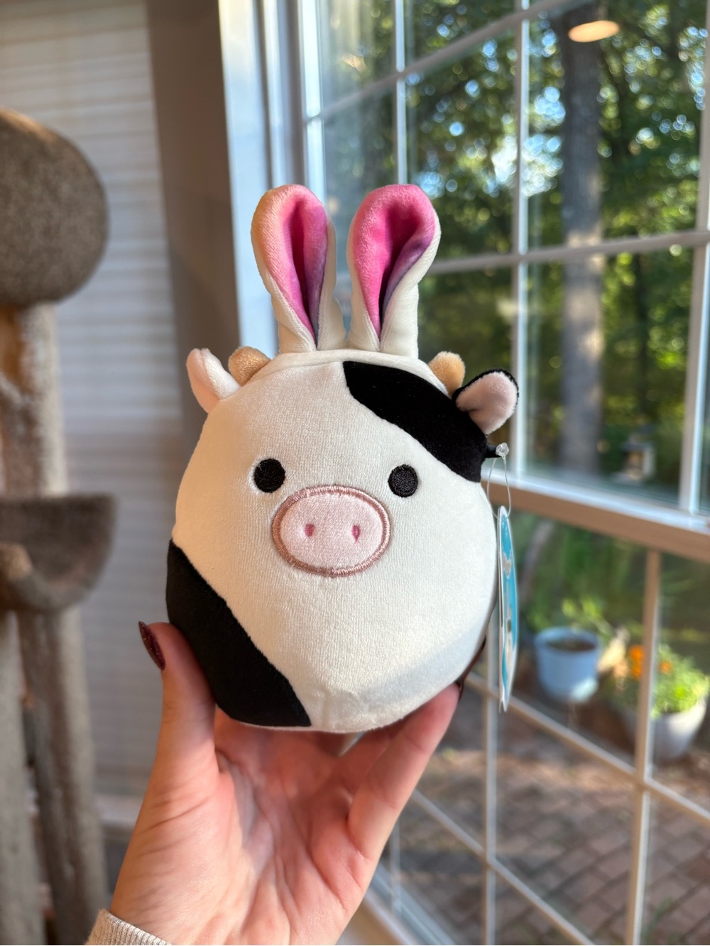 OG 2017 Connor the cow with bunny ears squishmallow NWT 5in easter